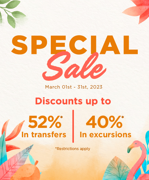 summer deal
